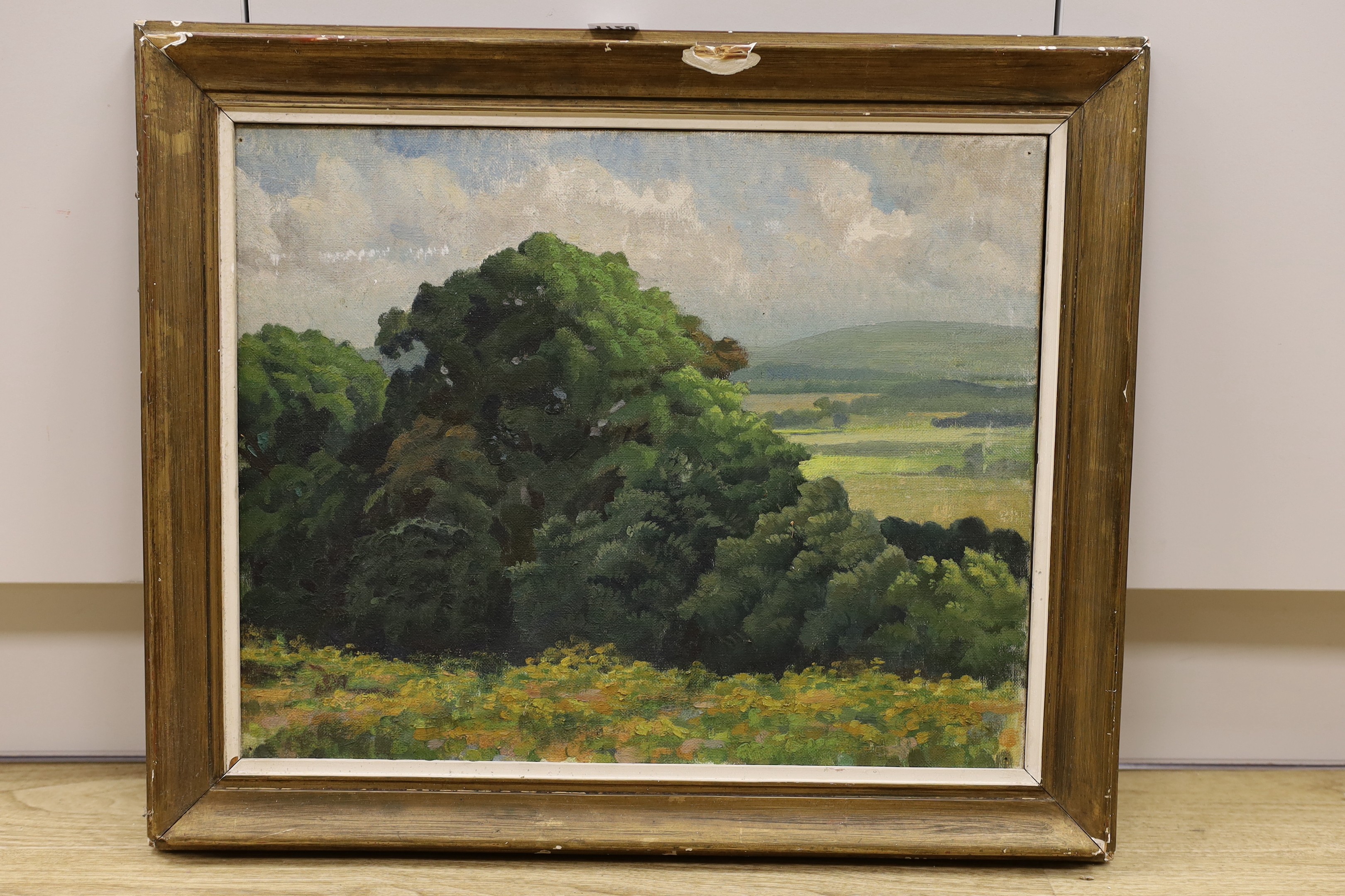 Modern British, oil on canvas, Trees in a landscape, label remnant verso, 40 x 50cm